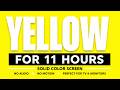 Yellow 11 Hours | Chroma Key Background | Solid Yellow Display Screen | 4K Colour Screen