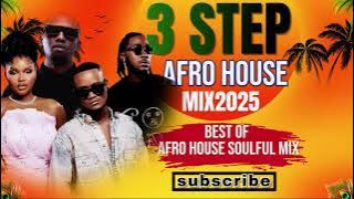 3 STEP AFRO HOUSE MIX 2025 BEST HOUSE SOULFUL MIX 2025 HOLADJBASH 