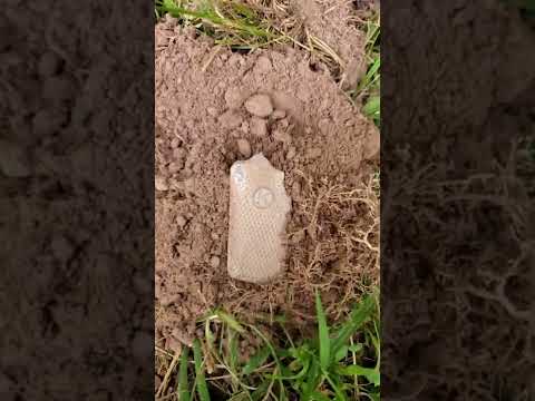 piece-of-a-toy-gun!!-#shorts-#youtube-#metaldetecting-#viral