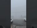 Fog 🌫️ Sabt Al alaya