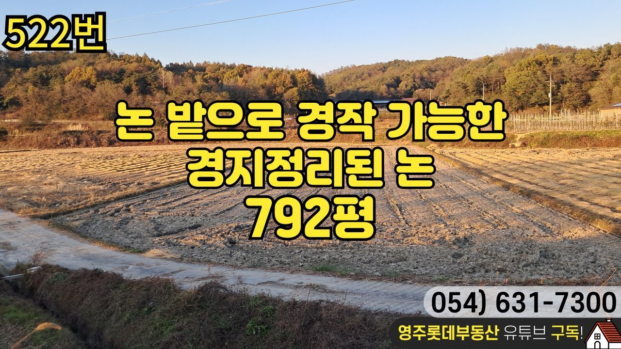 논 밭으로 경작 가능한 경지정리된 논 792평 - YouTube