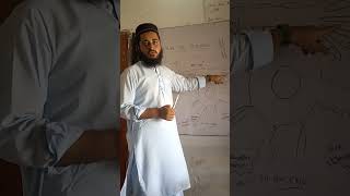 structure of neuron and how it transfer a message.   by zoologist safi ullah