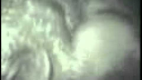 Setting up an Owl Nest Box Video Cam