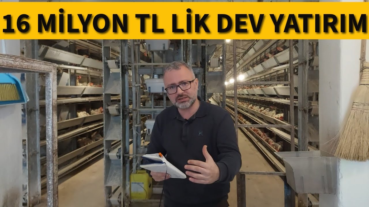 KİRALIK İŞLETMEDE 21.000 KAPASİTE TAVUK ÇİFTLİĞİ KURULUM MALİYETİ