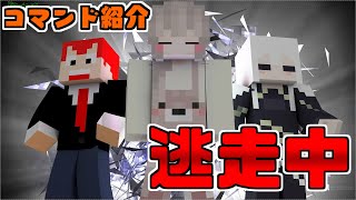 【ドズぼん】『マイクラ逃走中』第三弾〜コマンド紹介〜【マイクラ】