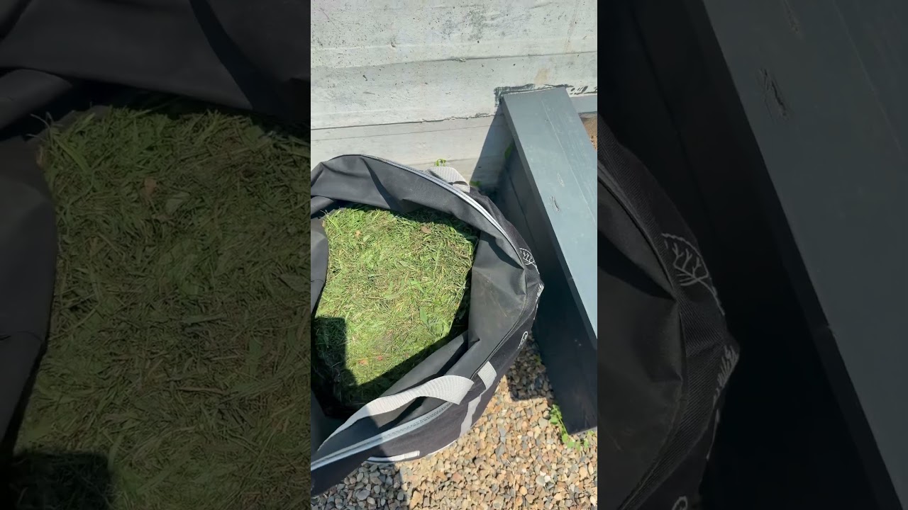 Мульчирую малину. 