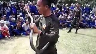 Aksi Heroik Seorang Tni Memakan Ular Yg Hidup