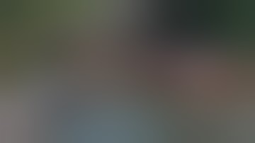 The Big Bayou Train Disaster - Amtrak