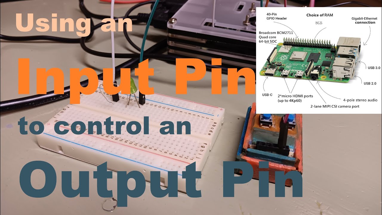 W Input Pin Raspberry Pi 4: Using an Input Pin to Control an Output Pin - YouTube