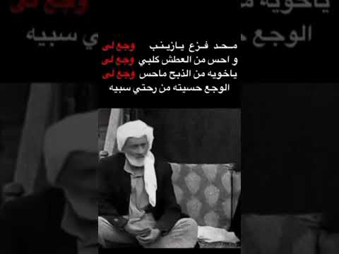 شعر عن السيدة زينب