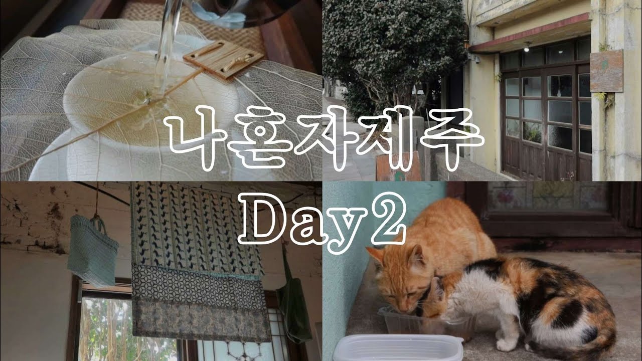 나 혼자 제주 Ep2. 쉼이 있는 평온한 구좌 모음집 | 해월정 소심한책방 동당서림 술의식물원 차한모금 만나책방