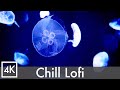 Relaxation & Study｜Night Jellyfish Tank｜Lo-fi & Underwater Sound｜4K 8H｜No Mid-roll Ads