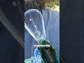 New Downsized Fall Bait