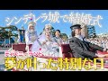 【涙の連続】夢だったディズニーランドでの結婚式VLOG【FTW】 image