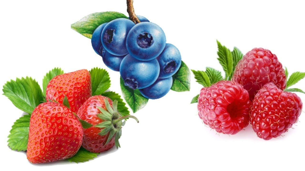 5 Of The Best Berries That Grow Well In Containers YouTube