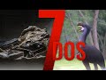 Duelling Dinosaurs Saved & New Gastornis Species Found - 7 Days of Science