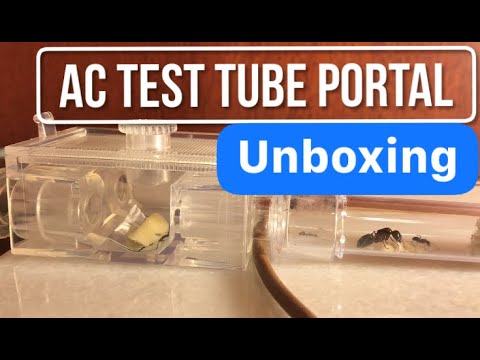 AntsCanada Unboxing | Test Tube Portal