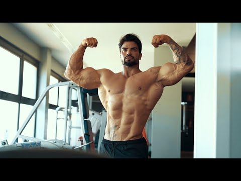 throwback #ihff Sergi Constance Sergi Constance Guest Posing on Indian Song  at IHFF Watch Full Video on IBB YouTube Channel. Sheru Aangrish Sheru... |  By Indian BodybuildingFacebook