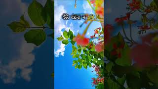 😍 new cg trending song short video 🥰 DSA creation 😍#love #shortvideo #cgmhdshori #status #song #