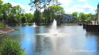 Runaway Bay Apartments in Virginia Beach, VA - ForRent.com