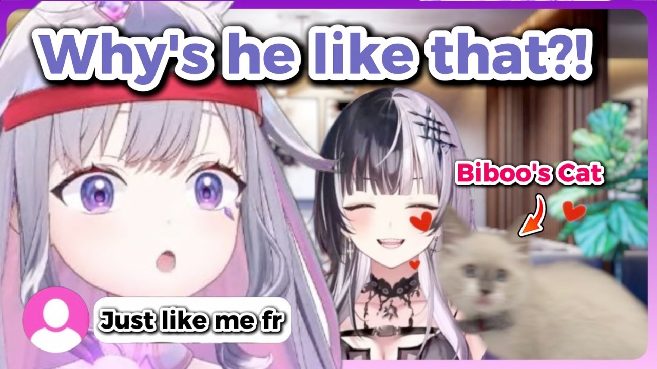 Biboo’s Cat is Weirdly Obsessed with Shiori...