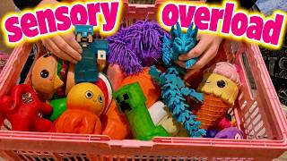 ASMR ✨HUGE Basket of Squishy Fidget Toys🤩No Talking After Intro🤫With Some Tapping