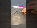 So vermeidest du Fehlbisse beim Hechtangeln!! #fishing #howto #viralshorts #pikefishing