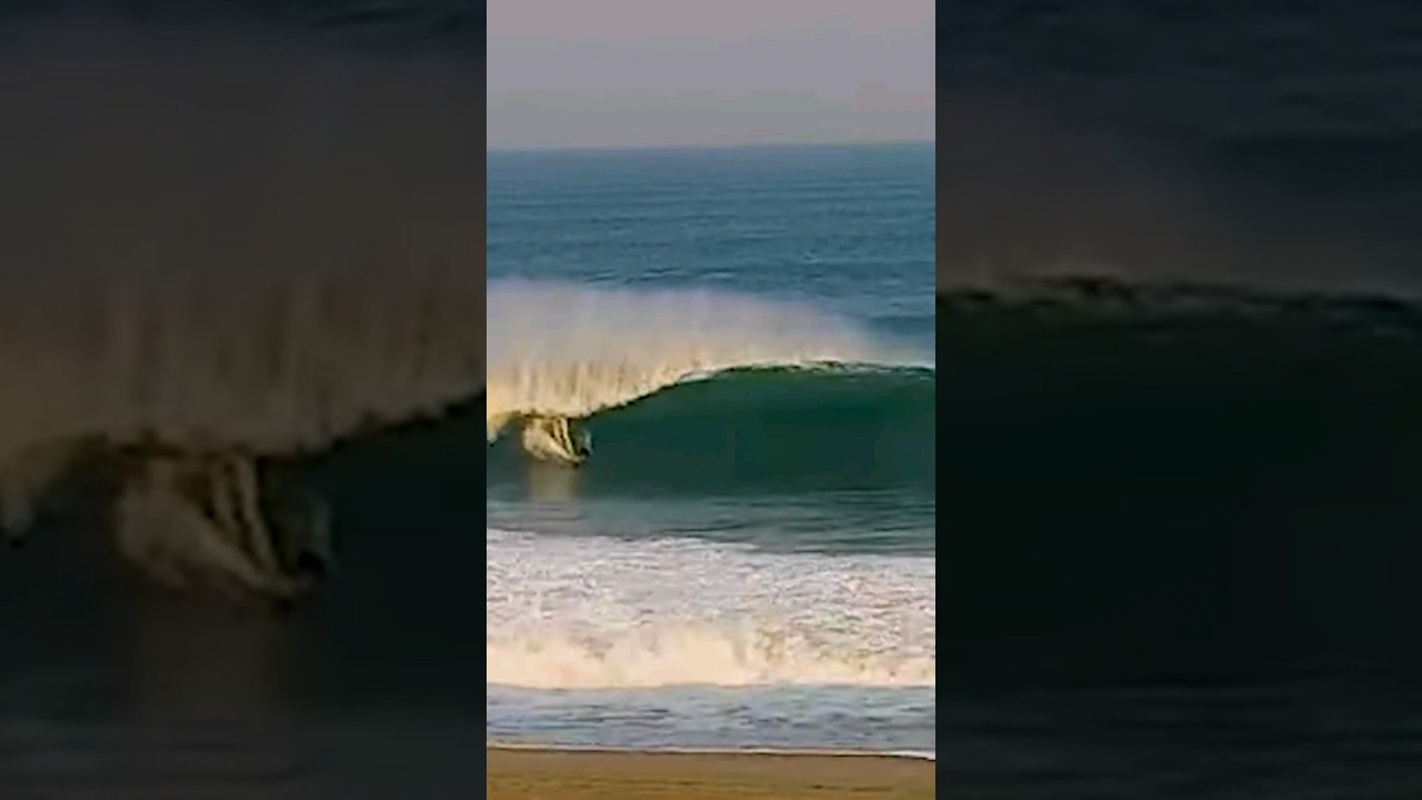 Clips