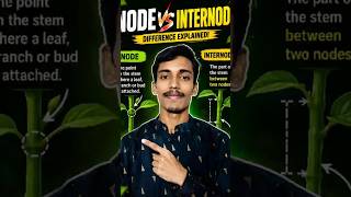 What is the difference between Node & Internode? #trending #botany #icse #cbse #neet #study #viral