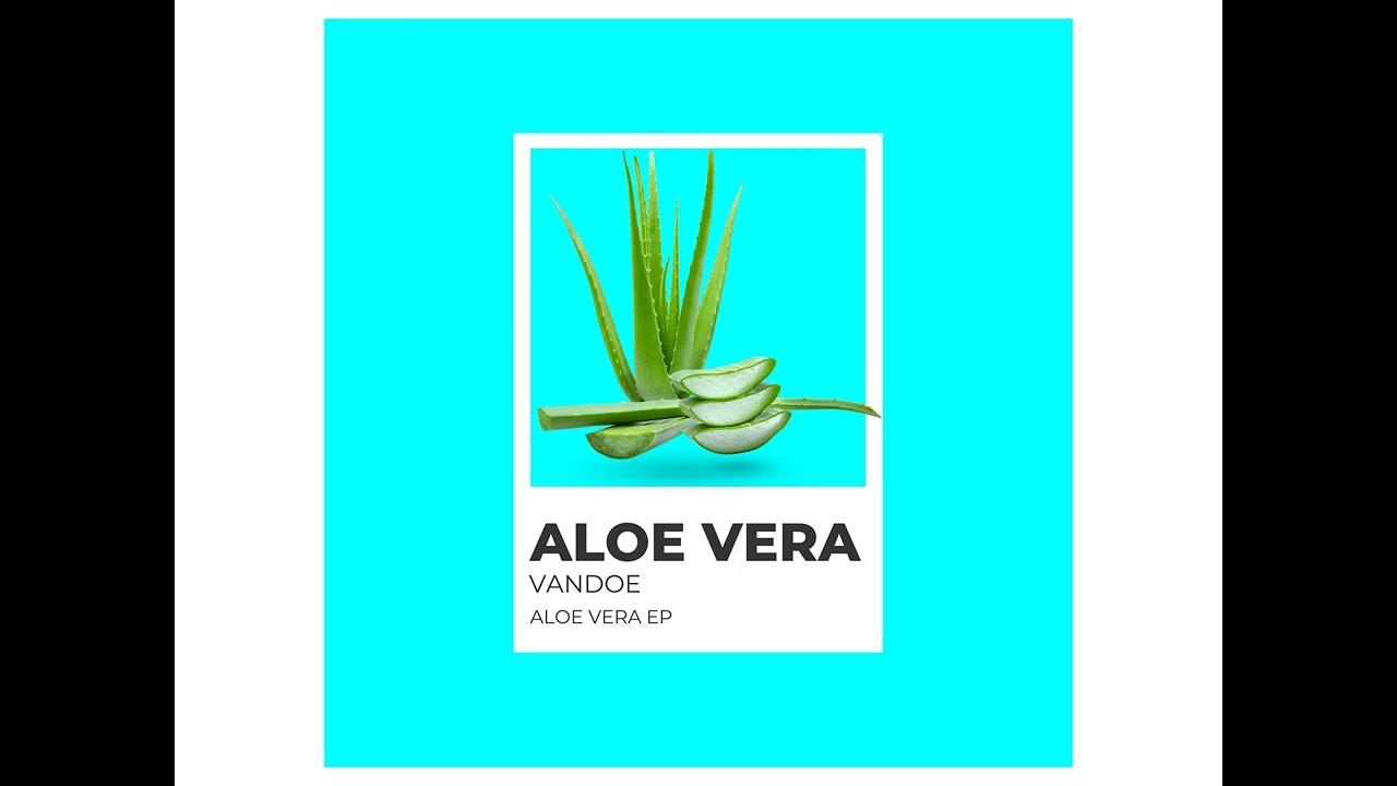Aloe vera - Vandoe
