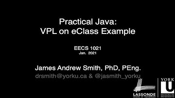 Practical Java: Another Demo of Virtual Programming Lab (Student Perspective).