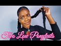 How To | Sleek Two Low Braided Ponytail
