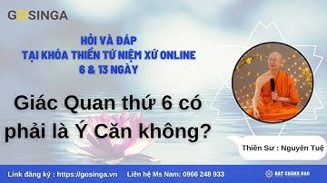 Giác Quan thứ 6 có phải là Ý Căn không? -Thiền Tứ Niệm Xứ