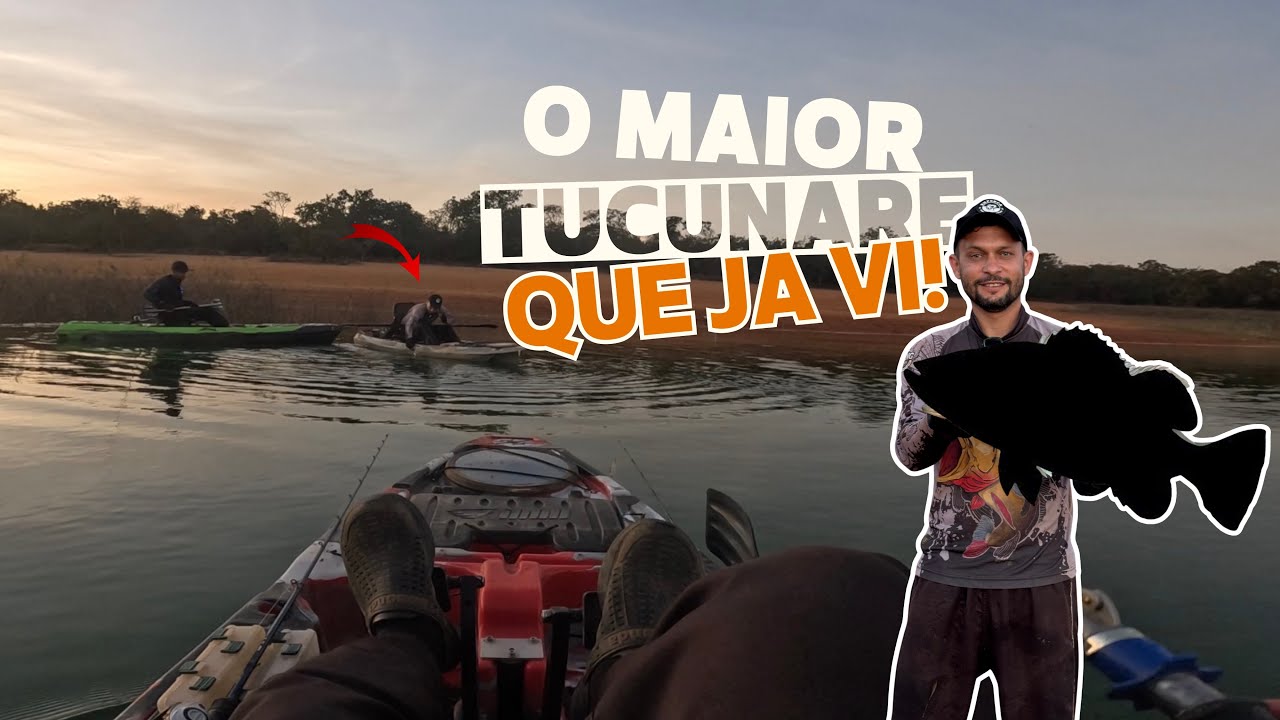 Esse peixe e record, GIGANTE!😱