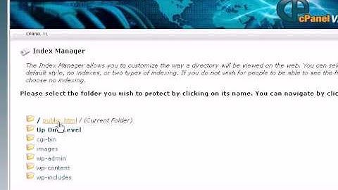Hiding Your Files with Index Manager