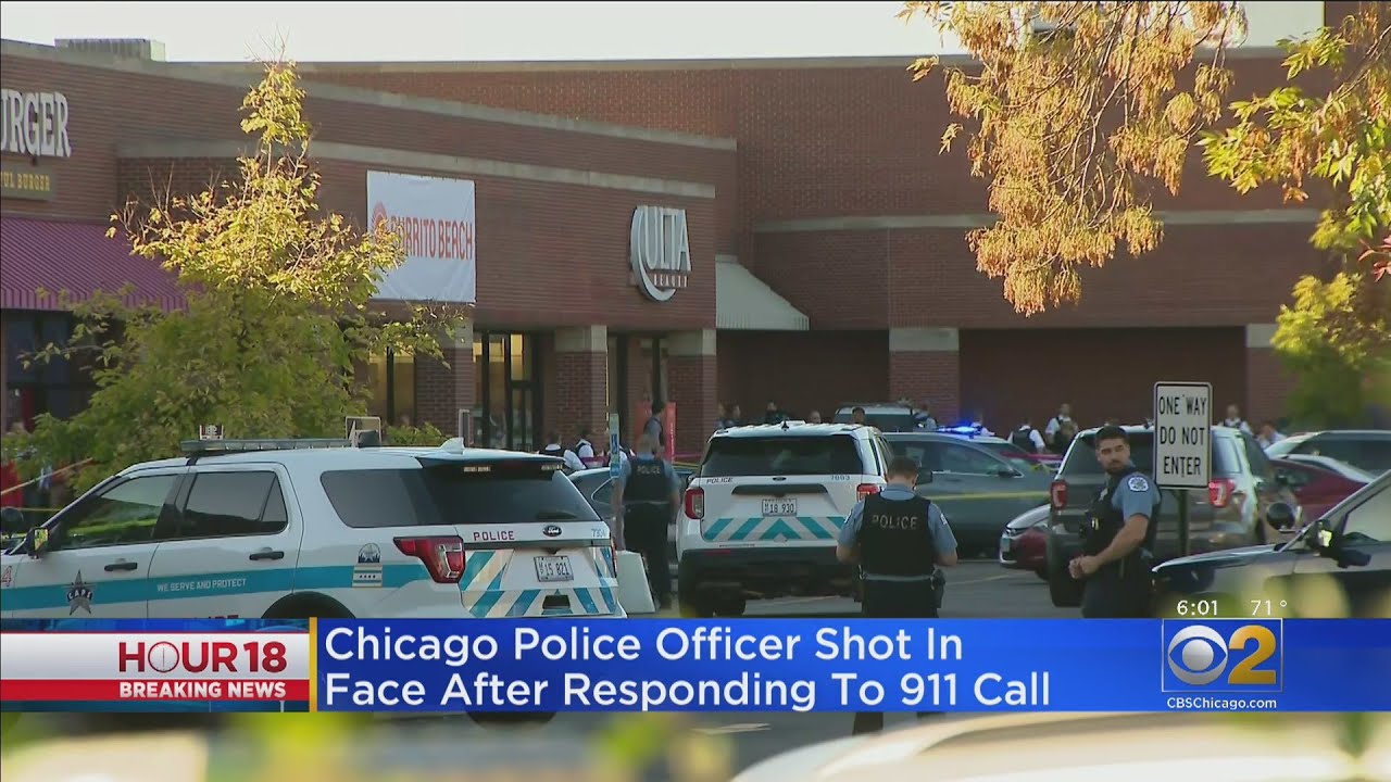 Chicago Police Officer Shot In Face In Lincoln Park After Responding To ...