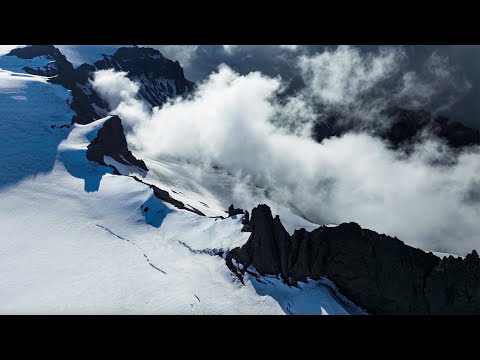 Life Survives in Extreme Icy Conditions | Earth | BBC Earth Science