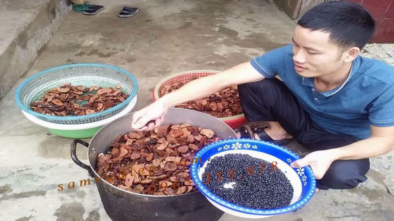 Dùng nhiều hà thủ ô có bị nóng không? Dùng nhiều hà thủ ô có bị nóng không?