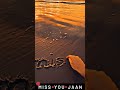 I Miss You Jaan Status Full Screen I Miss You Status Missing Status Shorts
