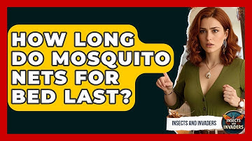 How Long Do Mosquito Nets For Bed Last? - Insects and Invaders