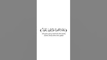 كروما شاشة بيضاء قرآن كريم 🌿تلاوة من سورة الأنعام 🌿القارئ عبدالرحمن أسامة 🌿