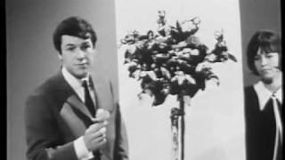 Salvatore Adamo   Quand les roses 1964