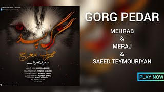 مهراب گرگ پدر | Mehrab Gorg Pedar