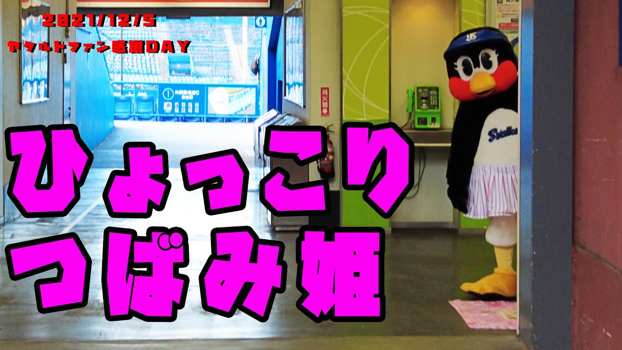 つばみ　写真撮影会でひょっこり登場つばみちゃん！　2021/12/5　ヤクルトファン感謝DAY2021