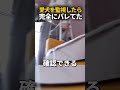愛犬を監視してたら完全にバレてた