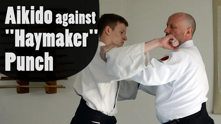 Aikido Against "Haymaker" Punch