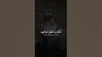 والذين امنوا وعملوا الصالحات سورة العنكبوت بصوت عبدالرحمن مسعد