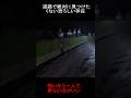 道路で絶対に見つけたくない恐ろしい存在 #隠れ鬼 #恐怖 #怪現象 #おばけ #horror #怖い話 #ミステリーハンター #ホラー
