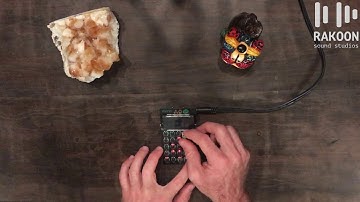 PO12 Basic Functions and Tutorial (Rakoon Sound Studios Tips and Tricks)