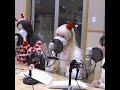 [IVE/아이브] Liz (리즈) sings Santa Tell Me (orig. Ariana Grande)